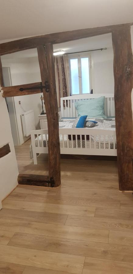 Zauberhafte Wohnung in der Nähe von Heidelberg, top Lage Hirschhorn Exterior foto