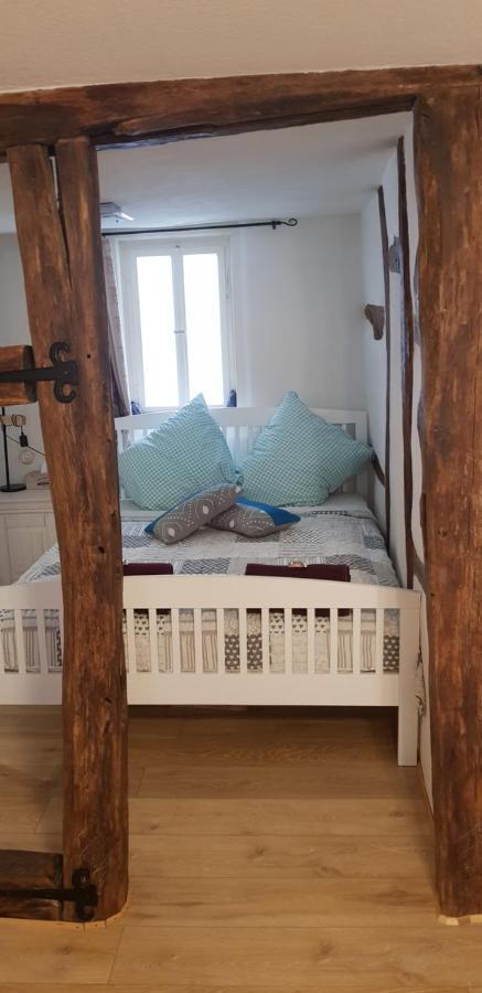 Zauberhafte Wohnung in der Nähe von Heidelberg, top Lage Hirschhorn Exterior foto