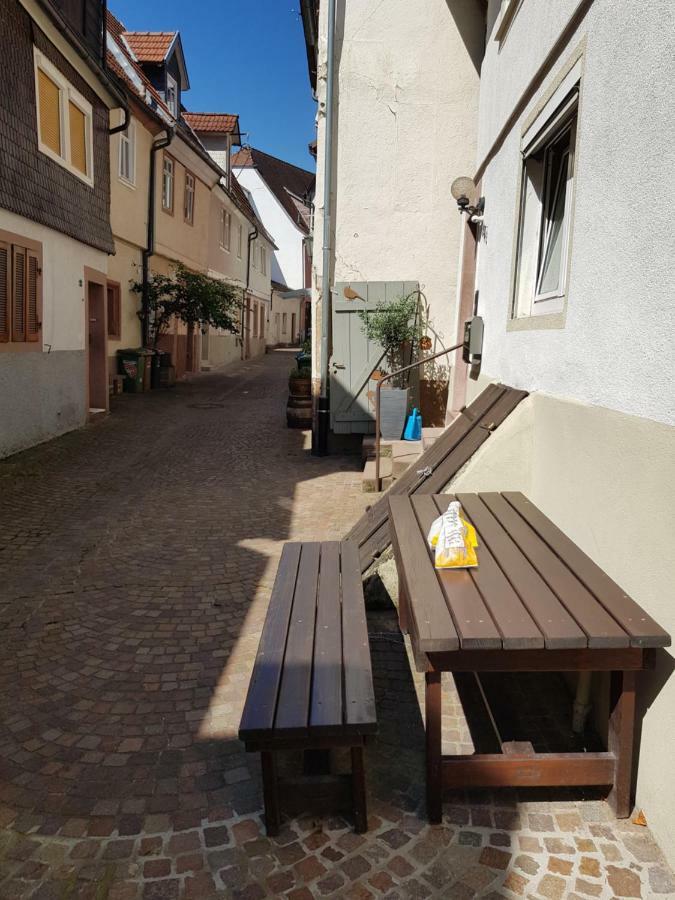 Zauberhafte Wohnung in der Nähe von Heidelberg, top Lage Hirschhorn Exterior foto