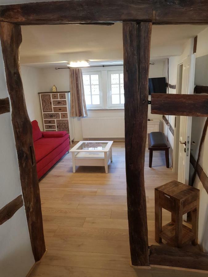 Zauberhafte Wohnung in der Nähe von Heidelberg, top Lage Hirschhorn Exterior foto