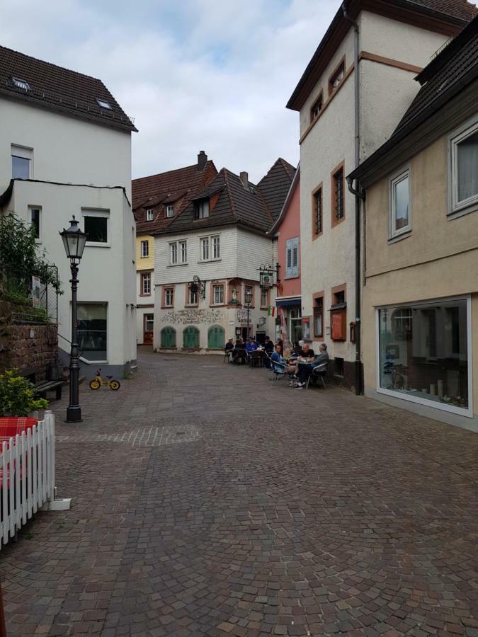 Zauberhafte Wohnung in der Nähe von Heidelberg, top Lage Hirschhorn Exterior foto