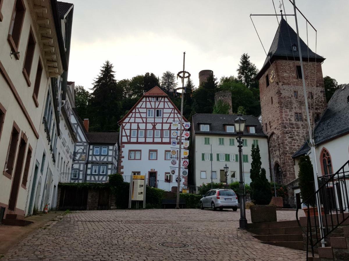 Zauberhafte Wohnung in der Nähe von Heidelberg, top Lage Hirschhorn Exterior foto
