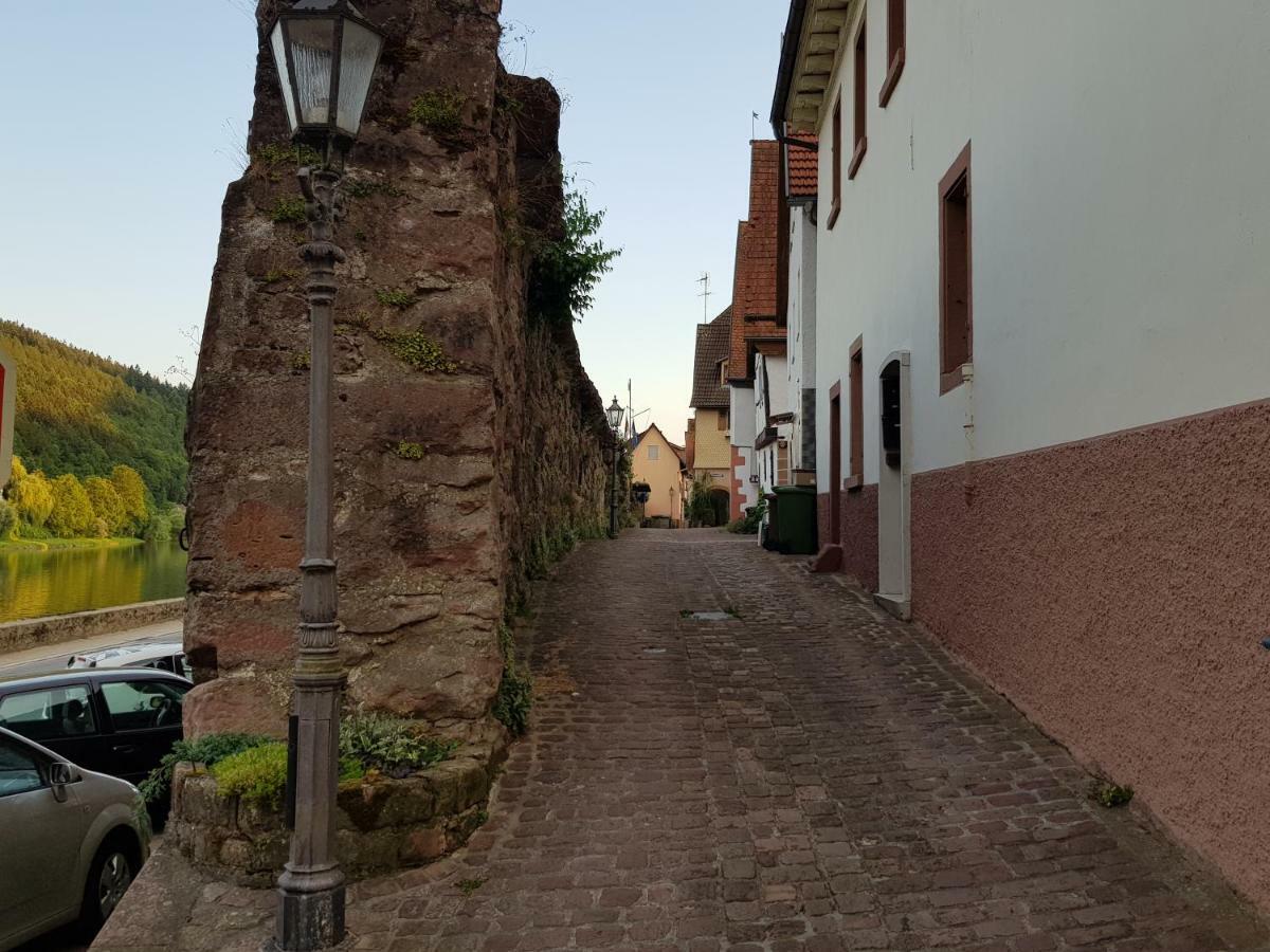 Zauberhafte Wohnung in der Nähe von Heidelberg, top Lage Hirschhorn Exterior foto