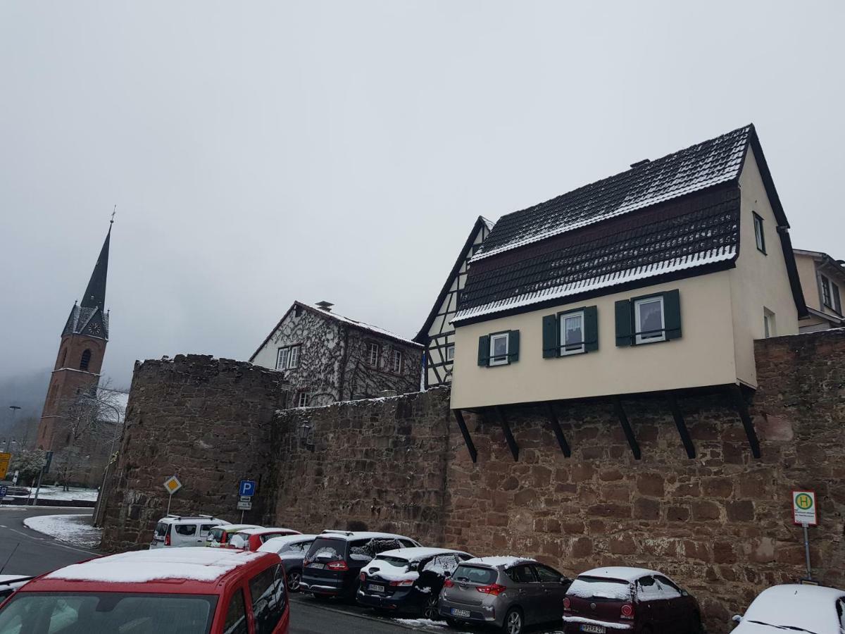 Zauberhafte Wohnung in der Nähe von Heidelberg, top Lage Hirschhorn Exterior foto