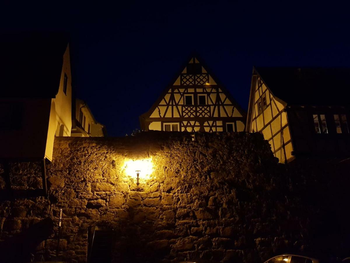 Zauberhafte Wohnung in der Nähe von Heidelberg, top Lage Hirschhorn Exterior foto