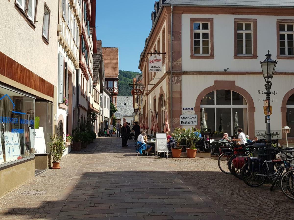 Zauberhafte Wohnung in der Nähe von Heidelberg, top Lage Hirschhorn Exterior foto