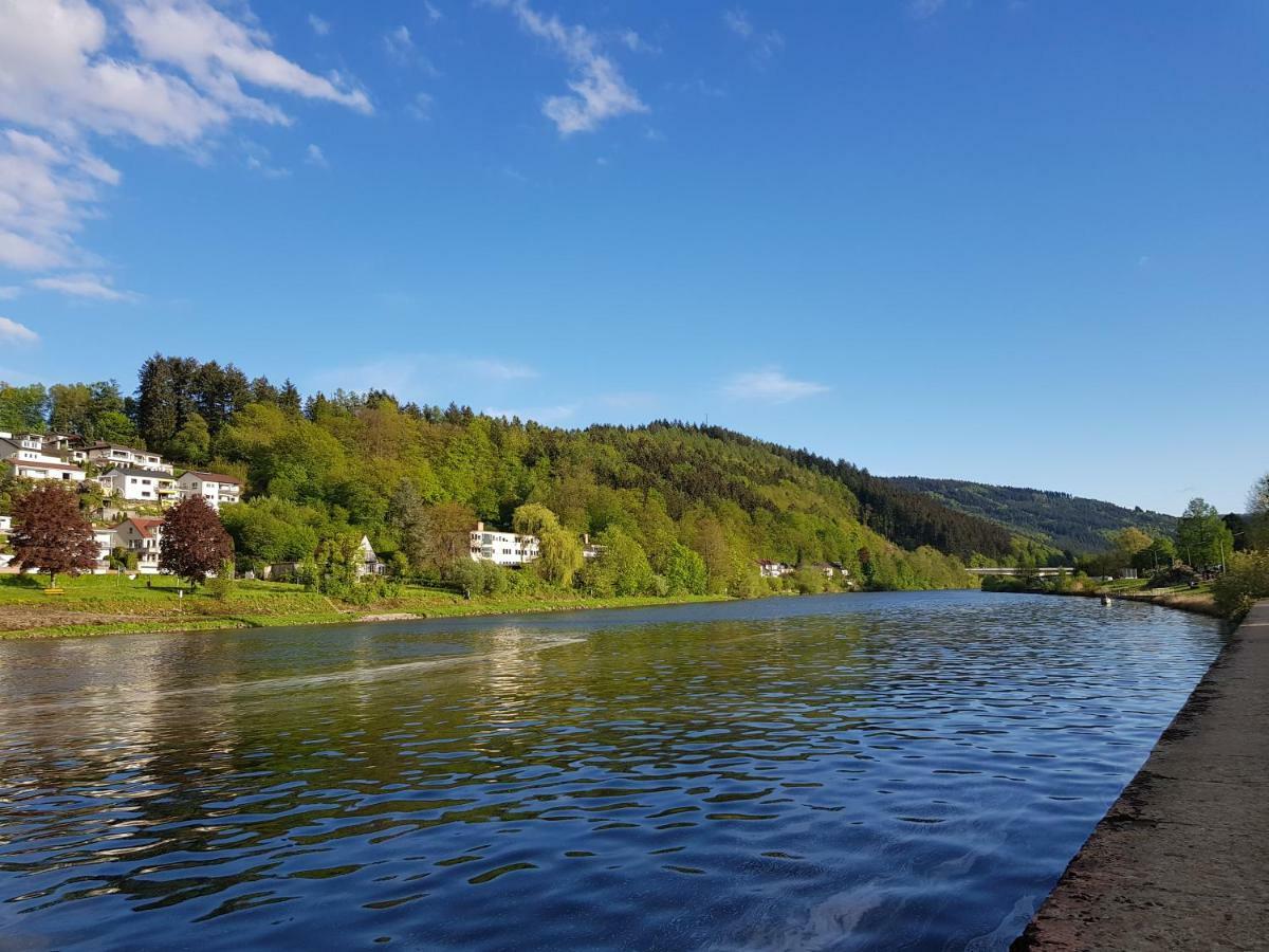 Zauberhafte Wohnung in der Nähe von Heidelberg, top Lage Hirschhorn Exterior foto