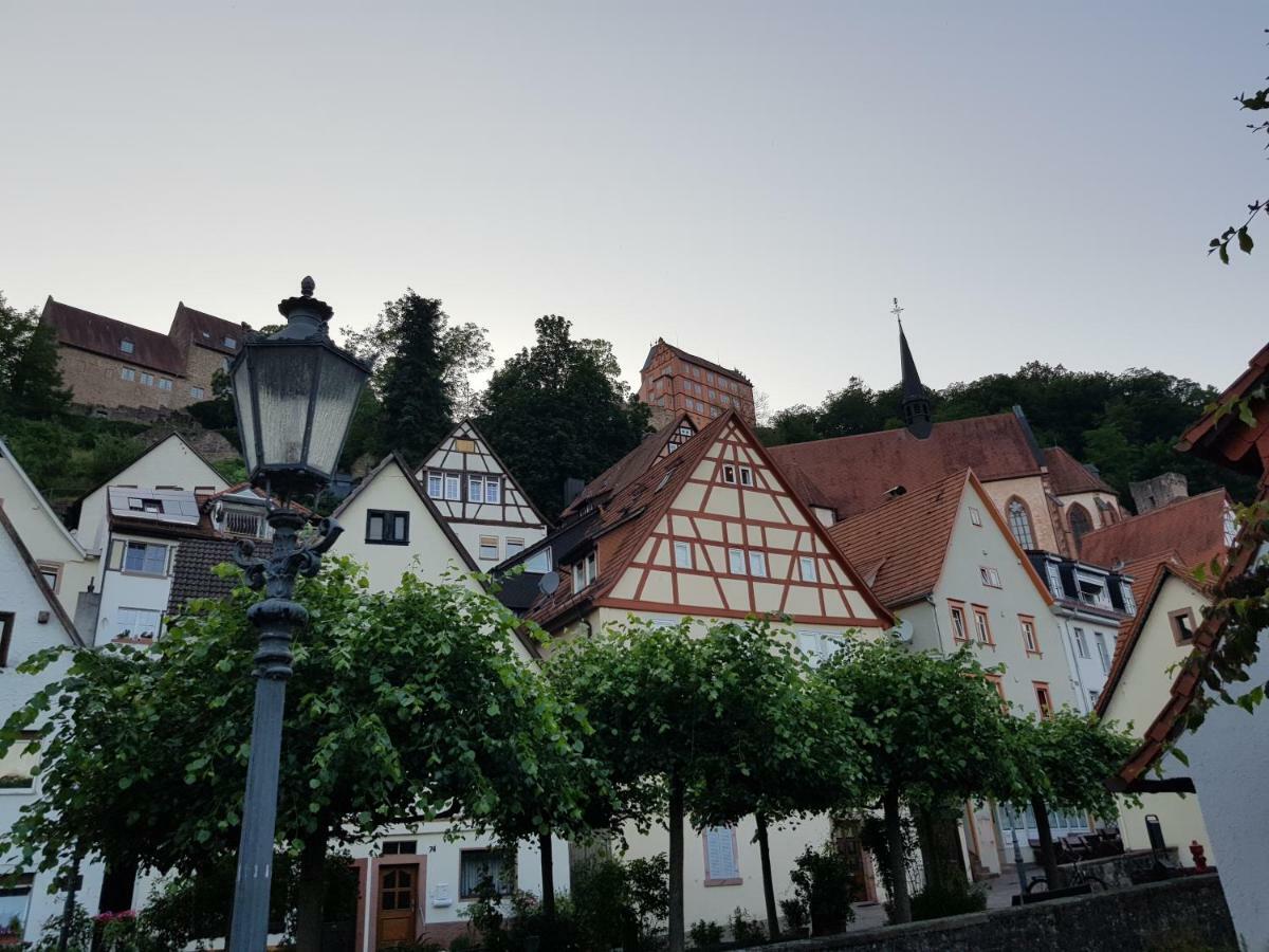Zauberhafte Wohnung in der Nähe von Heidelberg, top Lage Hirschhorn Exterior foto