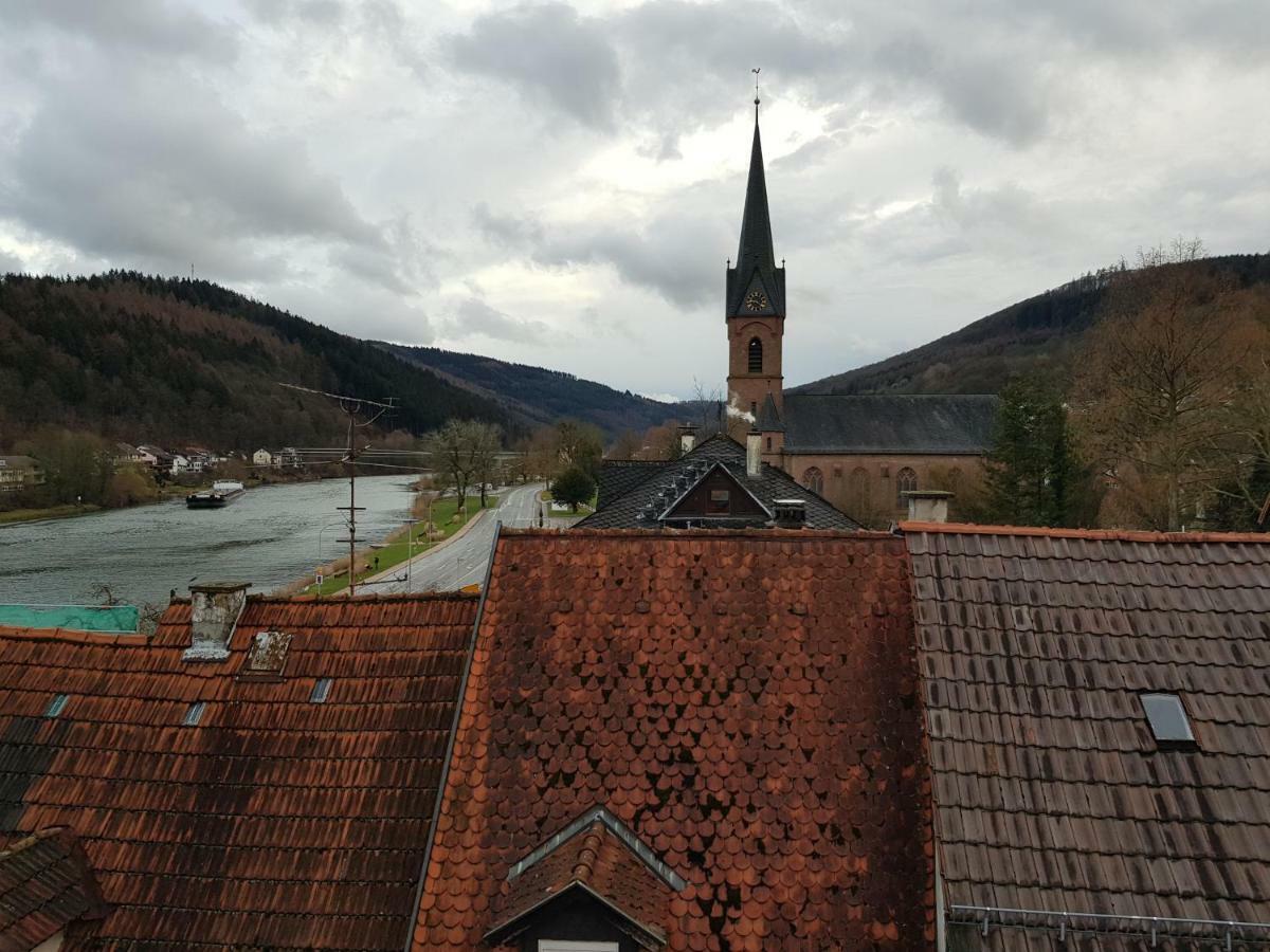 Zauberhafte Wohnung in der Nähe von Heidelberg, top Lage Hirschhorn Exterior foto