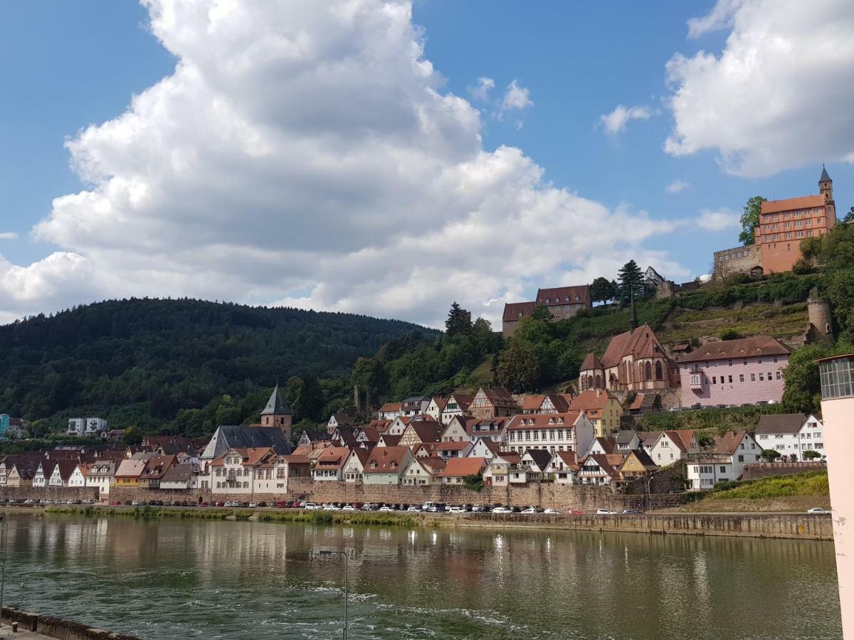 Zauberhafte Wohnung in der Nähe von Heidelberg, top Lage Hirschhorn Exterior foto