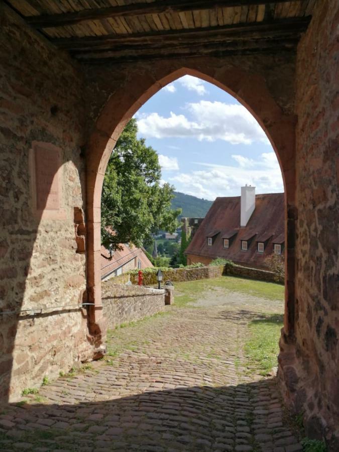 Zauberhafte Wohnung in der Nähe von Heidelberg, top Lage Hirschhorn Exterior foto
