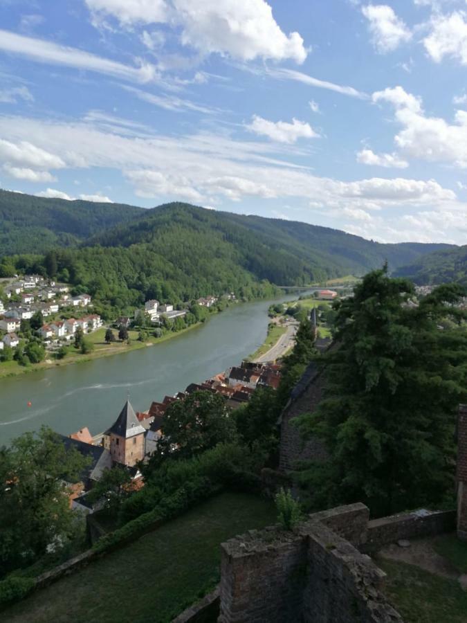 Zauberhafte Wohnung in der Nähe von Heidelberg, top Lage Hirschhorn Exterior foto