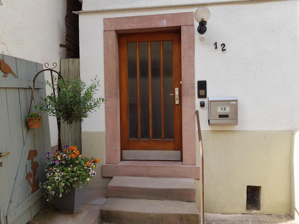 Zauberhafte Wohnung in der Nähe von Heidelberg, top Lage Hirschhorn Exterior foto