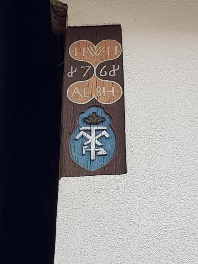 Zauberhafte Wohnung in der Nähe von Heidelberg, top Lage Hirschhorn Exterior foto