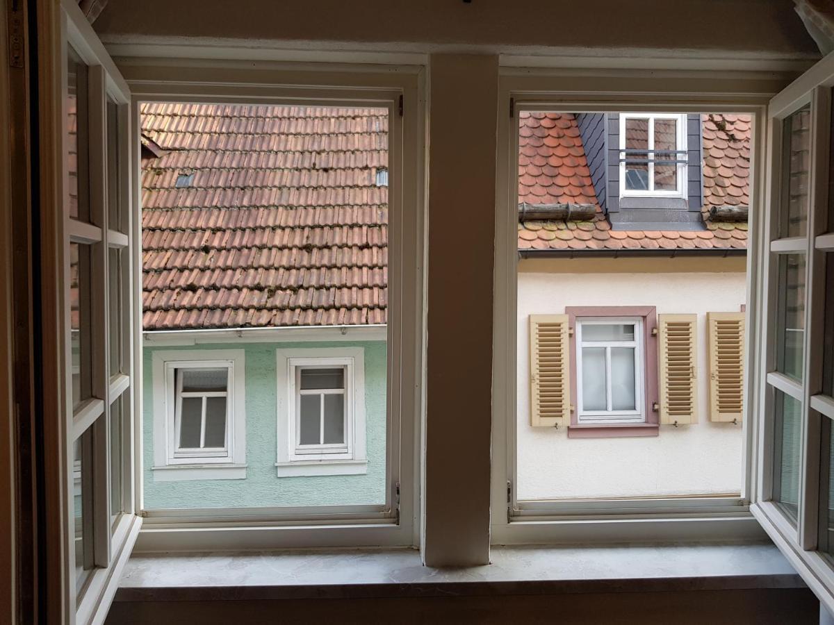 Zauberhafte Wohnung in der Nähe von Heidelberg, top Lage Hirschhorn Exterior foto